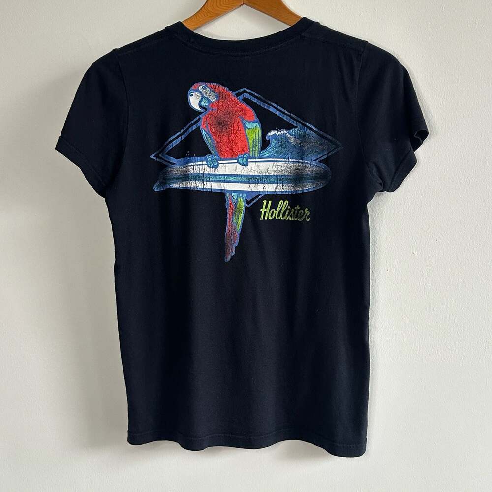 Vintage Y2K Hollister Parrot Surf Graphic Baby Tee Women’s Small